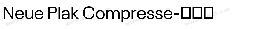 Neue Plak Compresse字体转换